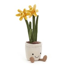 Amuseable-Daffodil