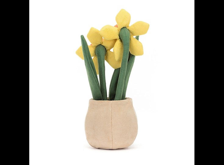 Amuseable-Daffodil-Pot
