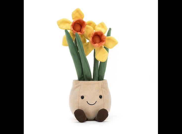 Amuseable-Daffodil-Pot