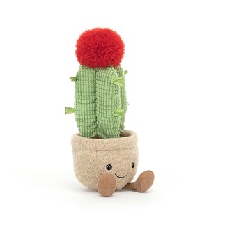 Amuseable-Moon-Cactus