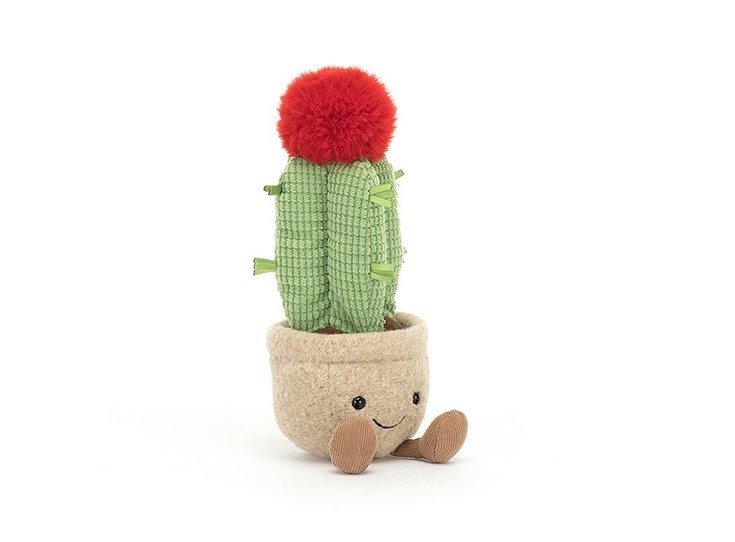 Amuseable-Moon-Cactus