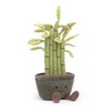 Amuseable-Potted-Bamboo