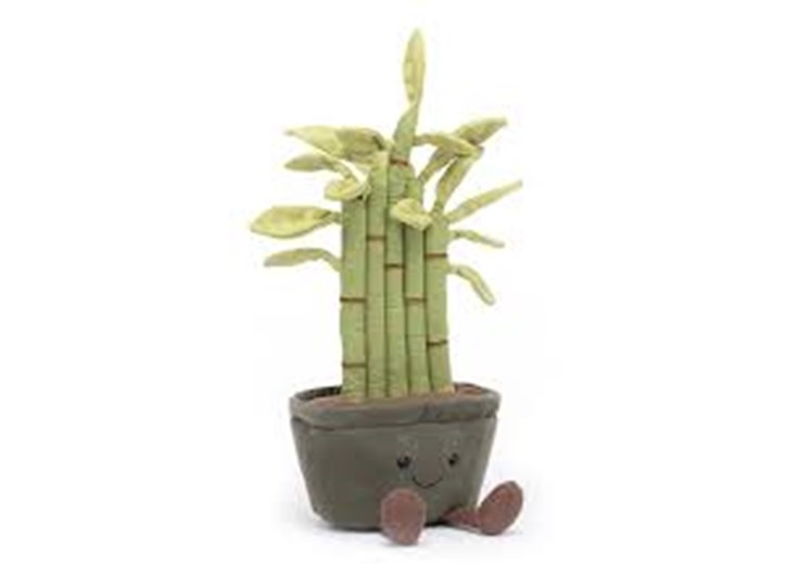 Amuseable-Potted-Bamboo
