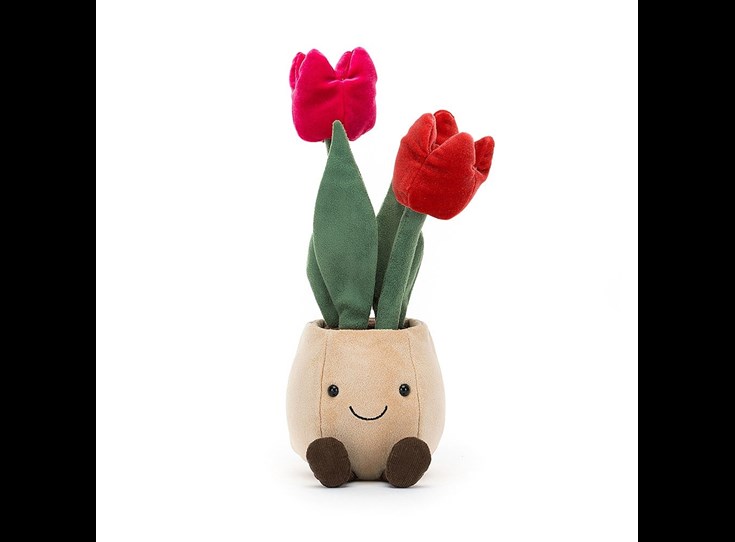 Amuseable-Tulip-Pot