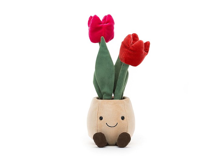 Amuseable-Tulip-Pot