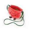 Amuseable-Watermelon-Bag