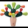 Balancerende-Cactus
