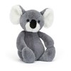 Bashful-Koala-Medium