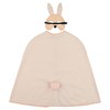 Cape-and-mask-Mrs-Rabbit