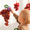 Druiven-Rammelaar-Speelgoed