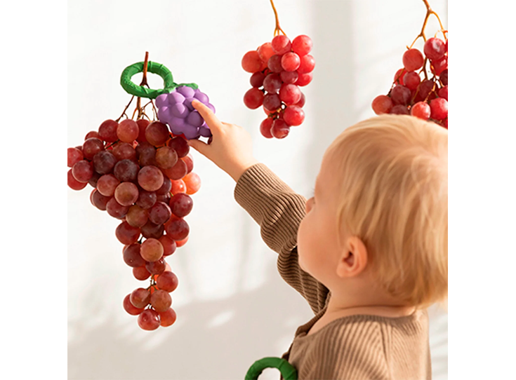 Druiven-Rammelaar-Speelgoed