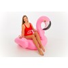 Flamingo-Ride-On-140x130x120cm