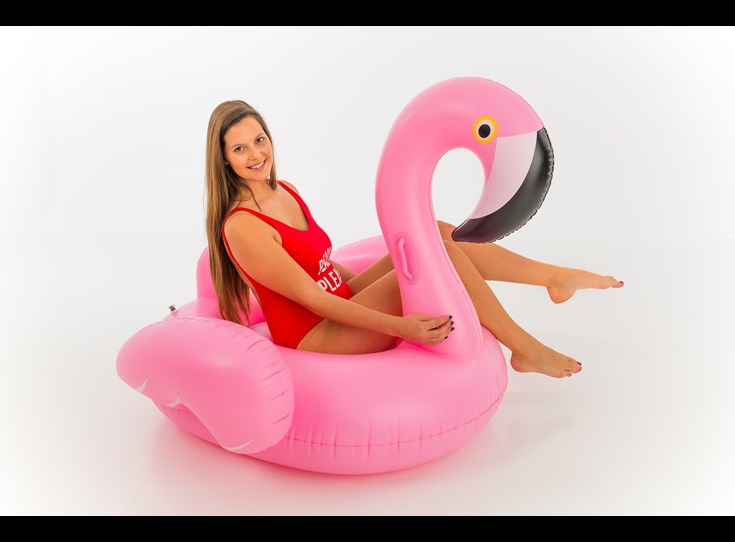 Flamingo-Ride-On-140x130x120cm