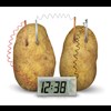 Green-Science-Potato-Clock