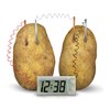 Green-Science-Potato-Clock