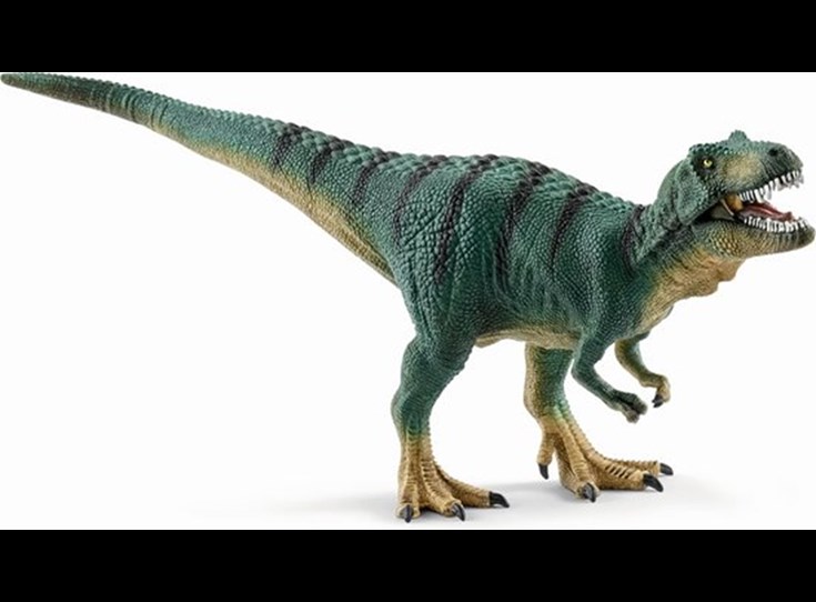 Jonge-Tyrannosaurus-Rex