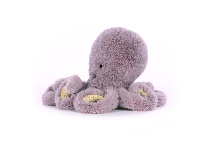 Maya-Octopus-Baby