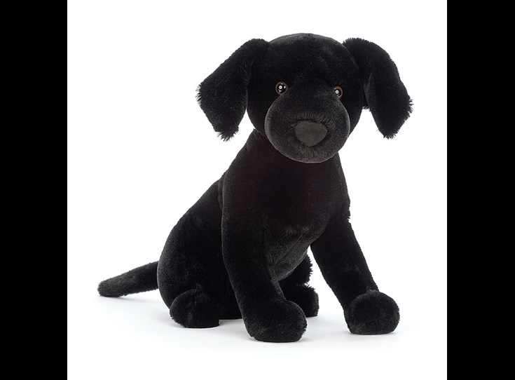 Pippa-Black-Labrador