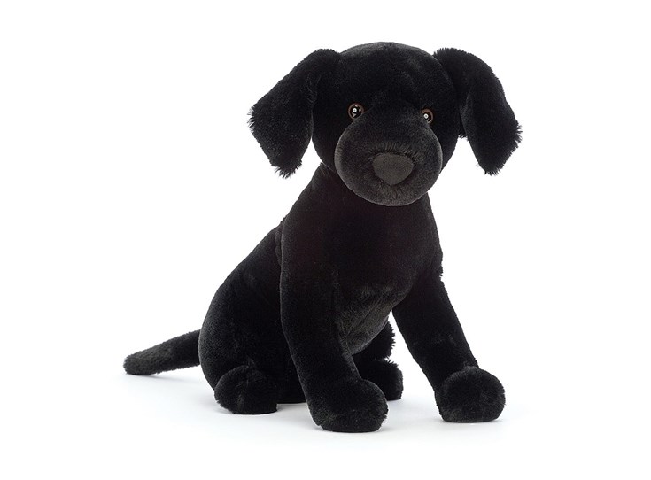 Pippa-Black-Labrador