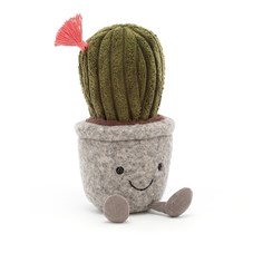 Silly-Succulent-Cactus