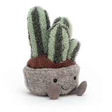 Silly-Succulent-Columnar-Cactus