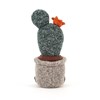 Silly-Succulent-Prickly-Pear-Cactus