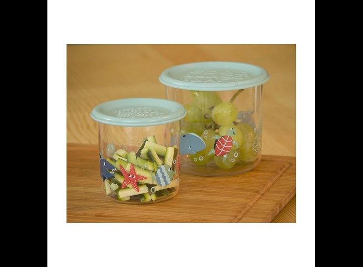 Snack-Container-set-of-2-LARGE-Ocean