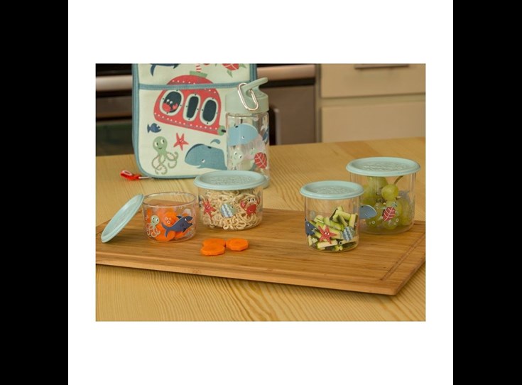 Snack-Container-set-of-2-LARGE-Ocean