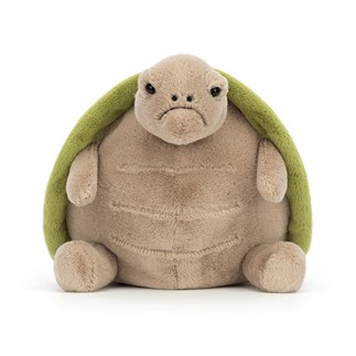 Timmy-Turtle