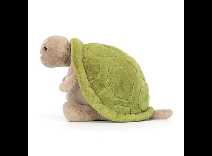Timmy-Turtle
