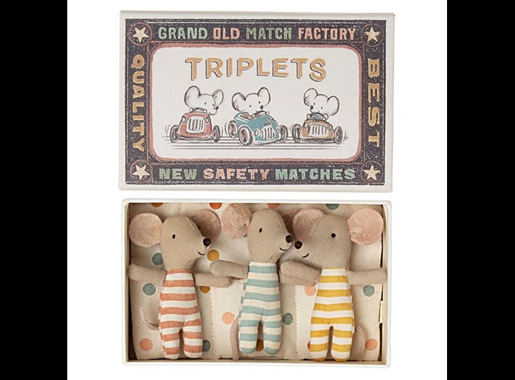 Triplets-Baby-mice-in-matchbox