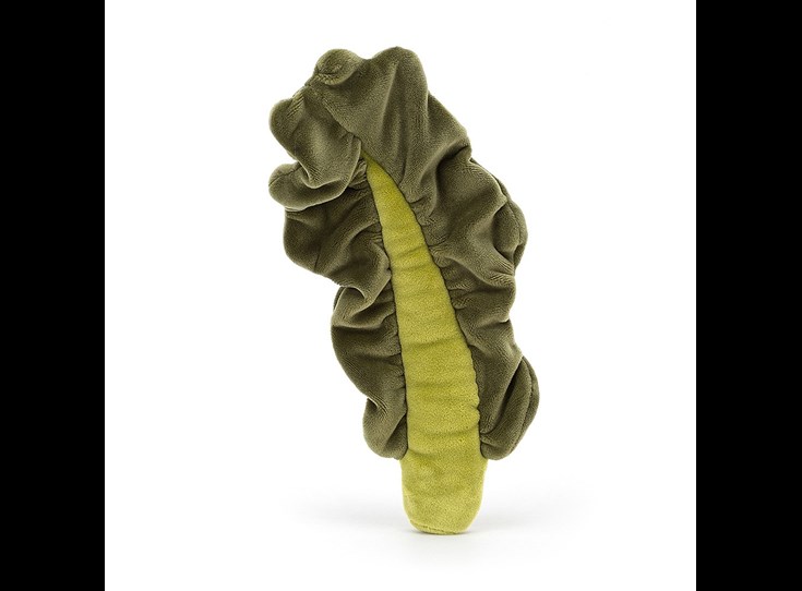 Vivacious-Vegetable-Kale-Leaf