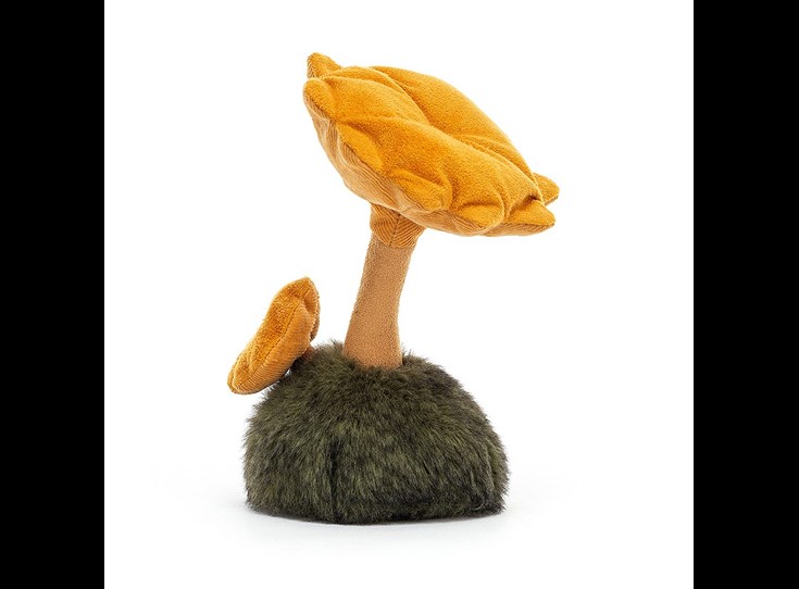 Wild-Nature-Chanterelle-Mushroom