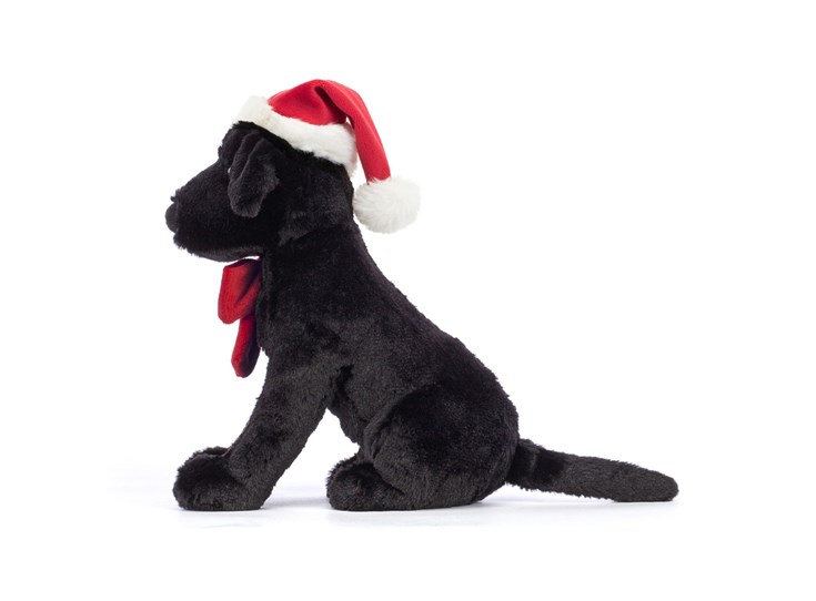 Winter-Warmer-Pippa-Black-Labrador