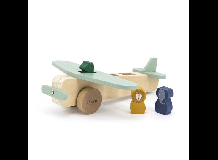 Wooden-animal-airplane