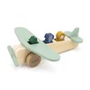 Wooden-animal-airplane